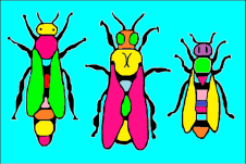 Carniolan bee family, queen, drone, worker
